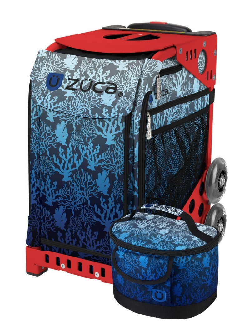 Reef Sport + Lunchbox