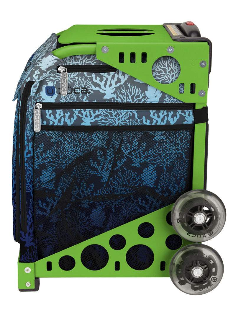 Reef Sport + Lunchbox