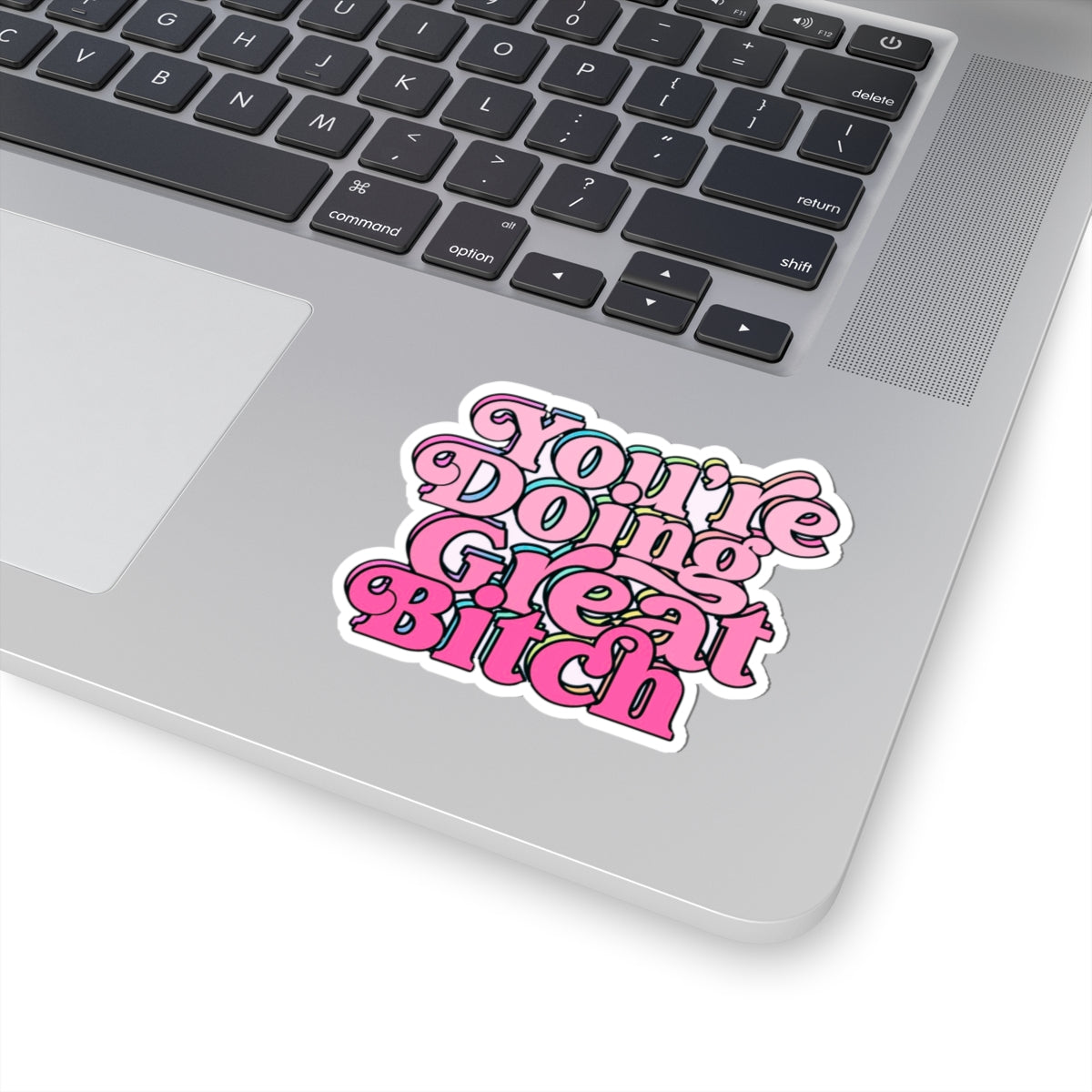 You're Doing Great B*tch Stickers - Adults Skate Too LLC