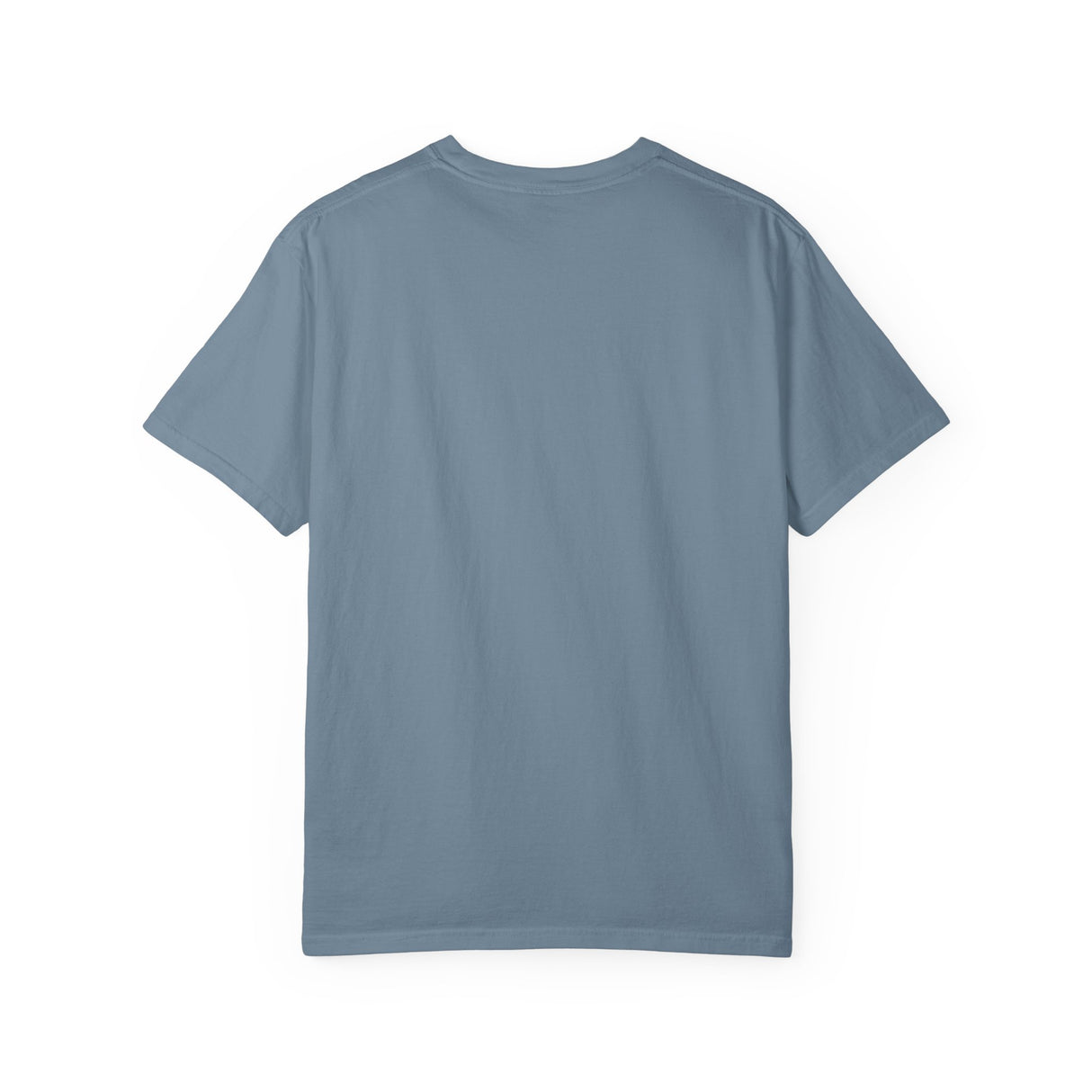 Introverted but Willing to Discuss Figure Skating T-Shirt - Adults Skate Too LLC