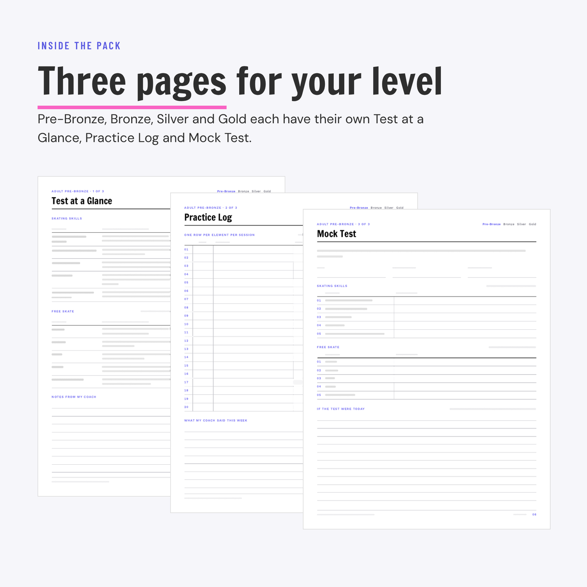 The three Adult Pre-Bronze pages from the Adult Test Prep Pack: Test at a Glance, Practice Log and Mock Test