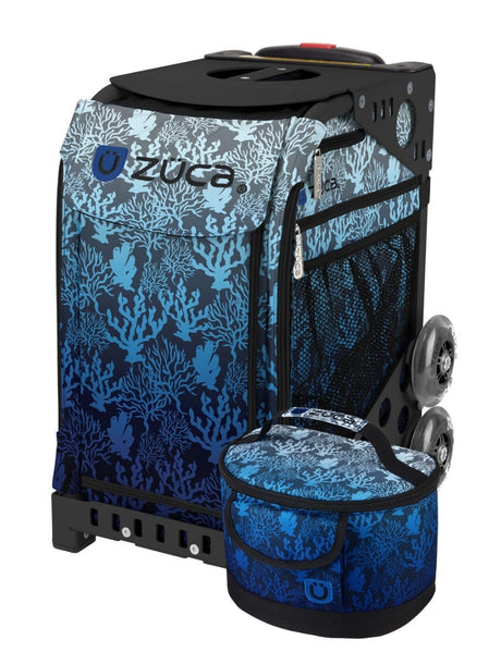 Reef Sport + Lunchbox