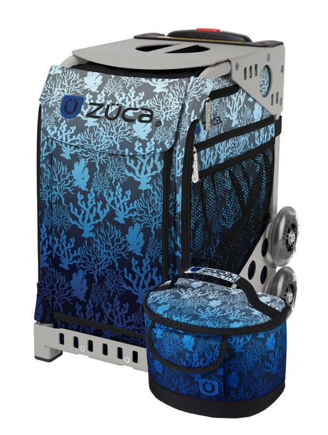 Reef Sport + Lunchbox