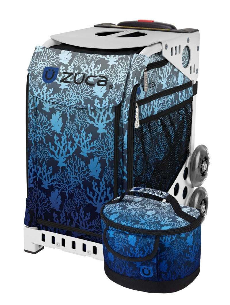 Reef Sport + Lunchbox