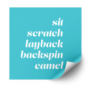 Spins Plastisol Heat Transfer - Adults Skate Too LLC