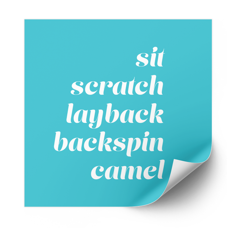 Spins Plastisol Heat Transfer - Adults Skate Too LLC