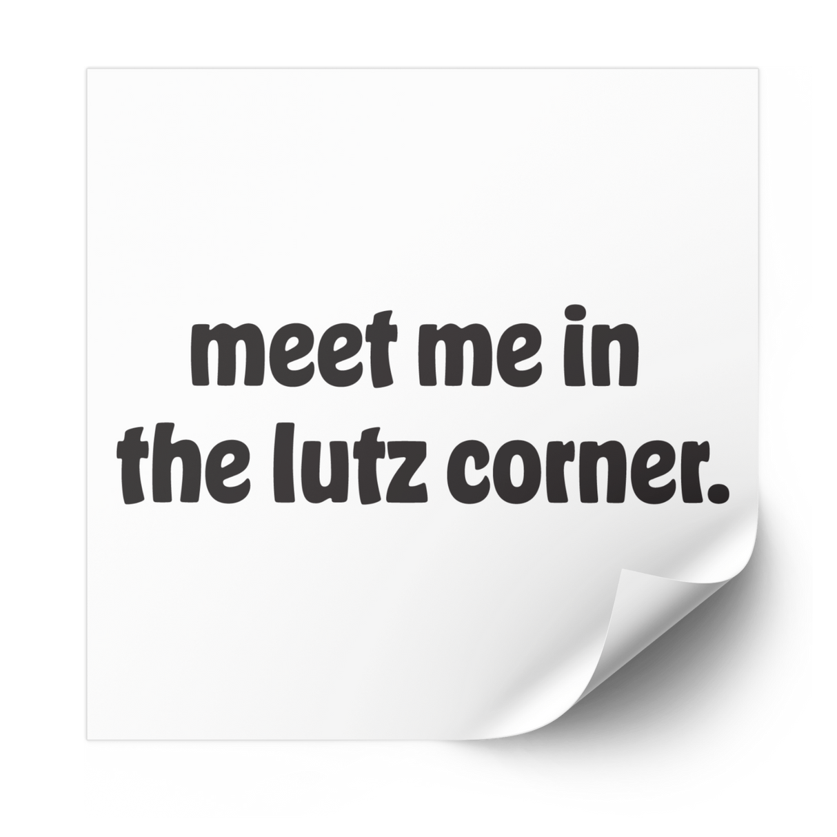 meet me in the lutz corner 1.0 Plastisol Heat Transfer - Adults Skate Too LLC