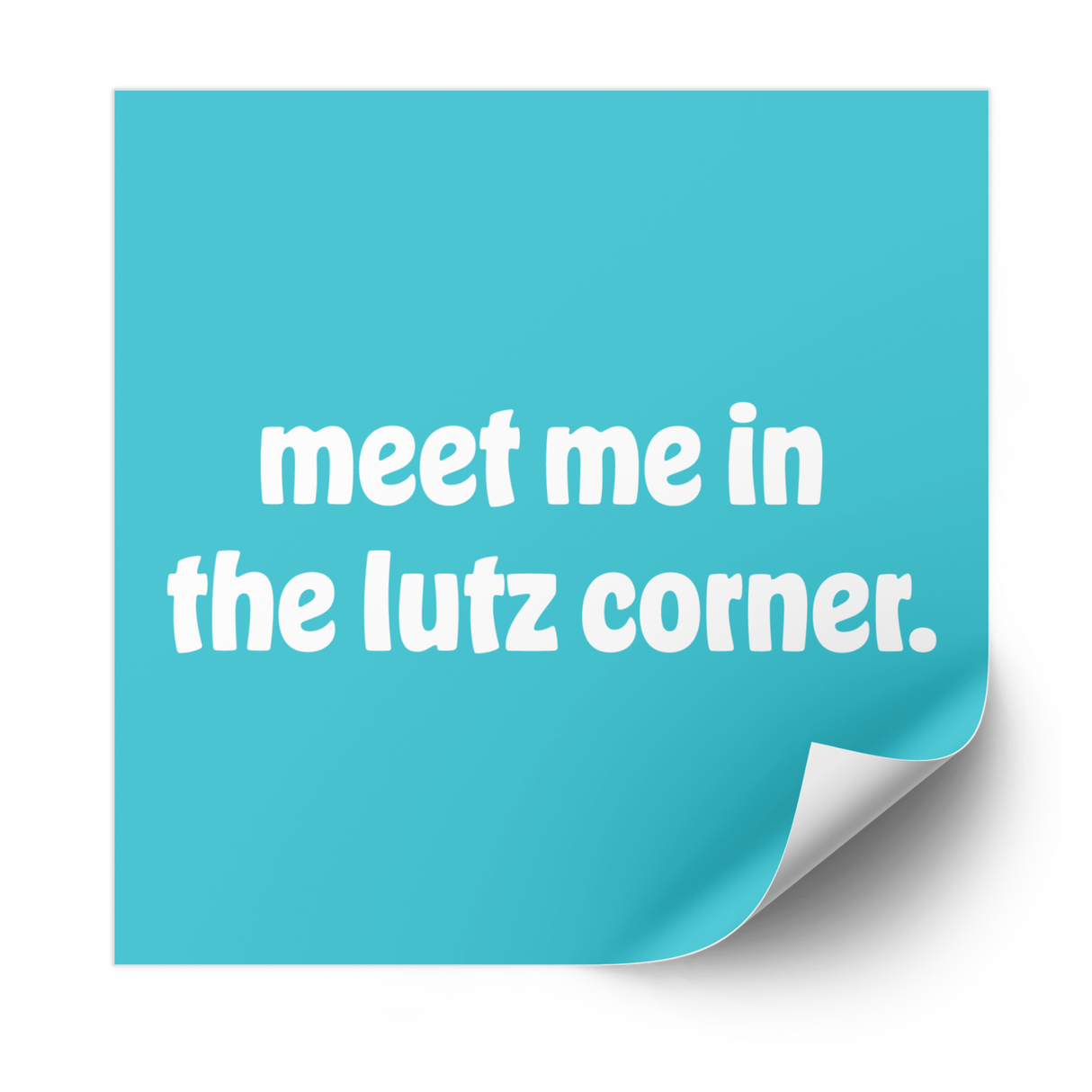 meet me in the lutz corner 1.0 Plastisol Heat Transfer - Adults Skate Too LLC