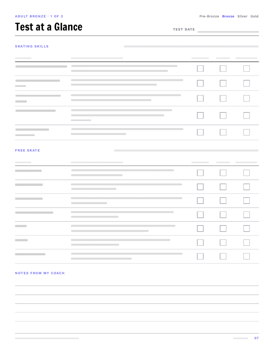 The Test at a Glance page for Adult Bronze, from the Adult Test Prep Pack