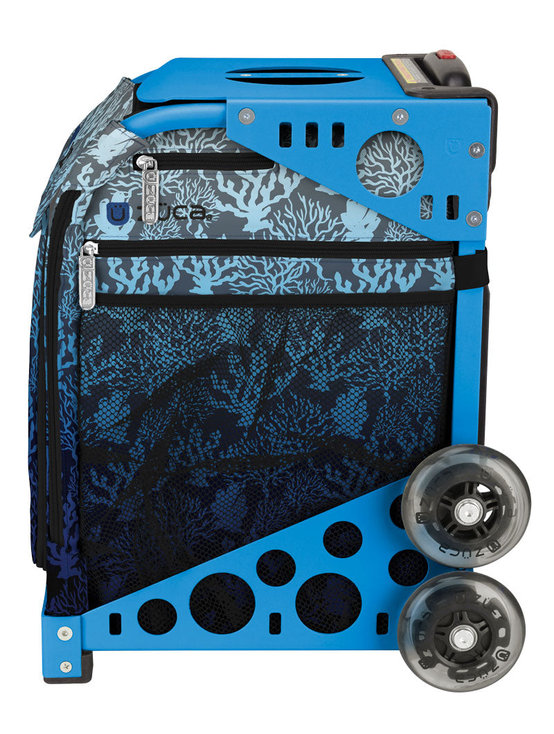 Reef Sport + Lunchbox